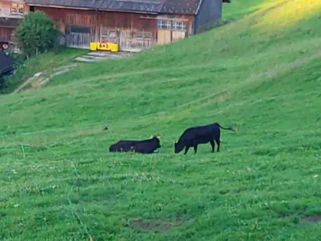 2-Tagesfahrt Appenzell, 25.–26.06.2022 (Galerie 2022)