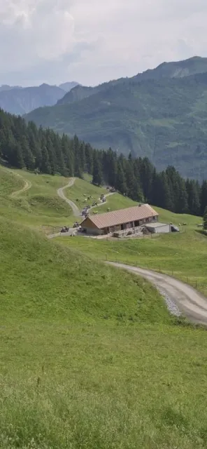 Zweitagesfahrt Elsenalpe / Damüls, 27.–28.06.2026 (Galerie 2026)