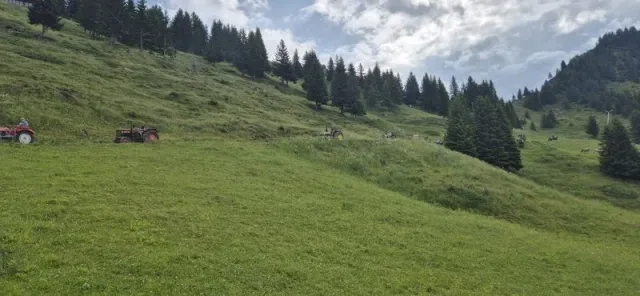 Zweitagesfahrt Elsenalpe / Damüls, 27.–28.06.2026 (Galerie 2026)