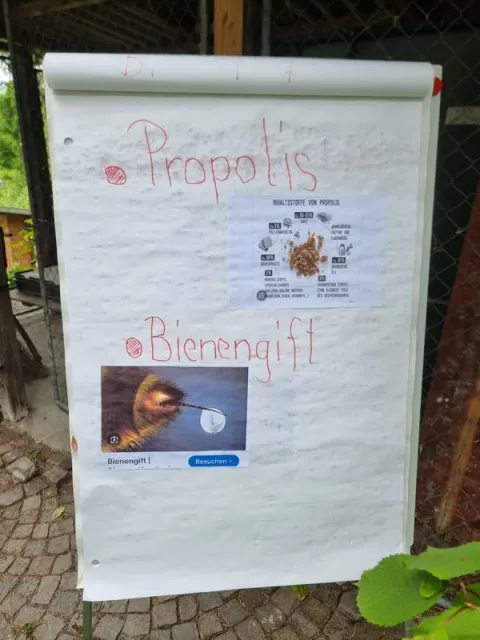 1. Sonntagsfahrt, 25.05.2025 (Galerie 2025)