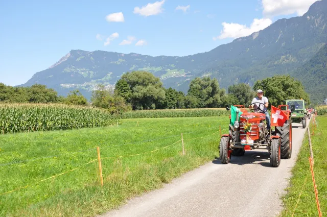 Traktoren-Treffen, 22.–23.08.2015 (Galerie 2015)