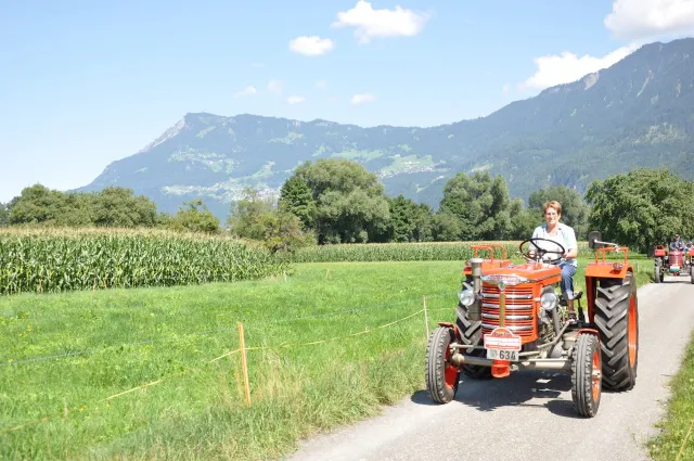 Traktoren-Treffen, 22.–23.08.2015 (Galerie 2015)