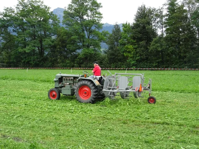 Oldie-Treffen 2019, Balzers, 18.08.2019 (Galerie 2019)