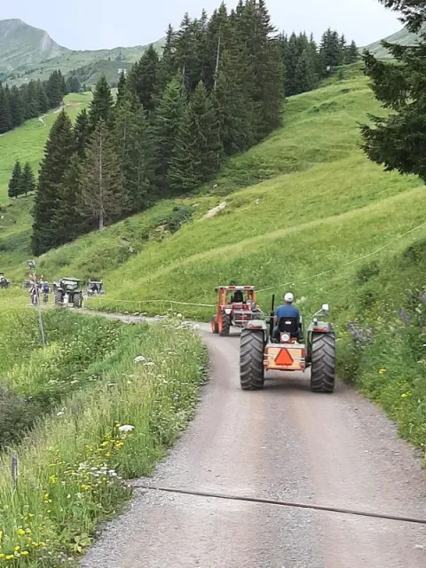 Zweitagesfahrt Elsenalpe / Damüls, 27.–28.06.2026 (Galerie 2026)