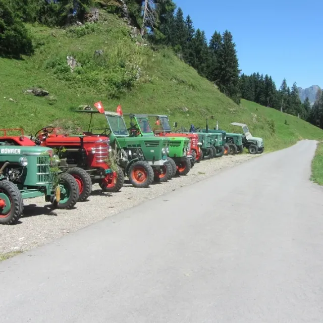 Sonntagsfahrt, 30.07.2017 (Galerie 2017)