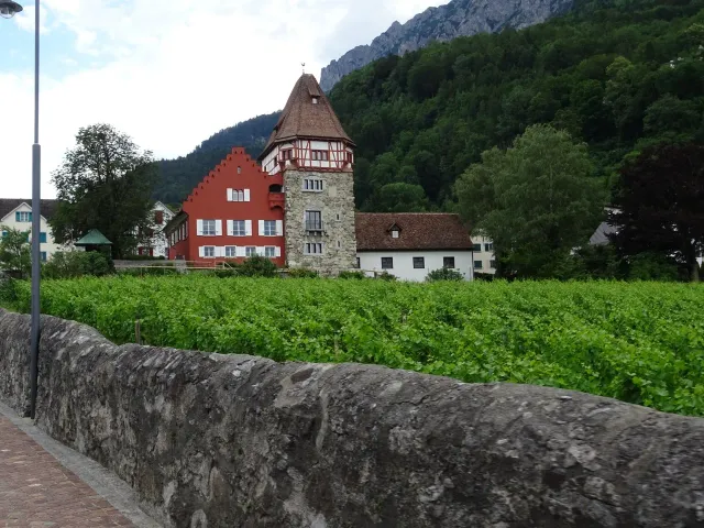 Vereinsausfahrt auf Sücka, 07.07.2019 (Galerie 2019)