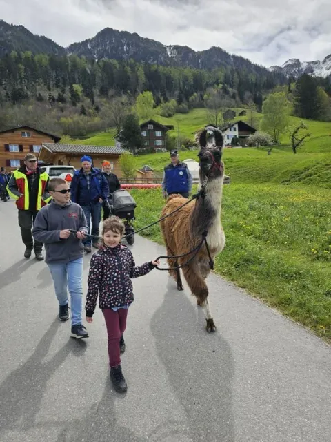 Blueschtfahrt zum Lama und Alpakahof, 28.04.2024 (Galerie 2024)