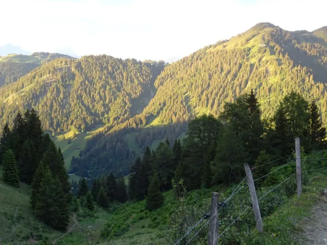 2 Tagesfahrt nach Stams, 27.06.2020 (Galerie 2020)