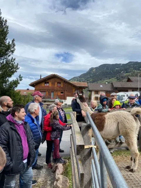 Blueschtfahrt zum Lama und Alpakahof, 28.04.2024 (Galerie 2024)