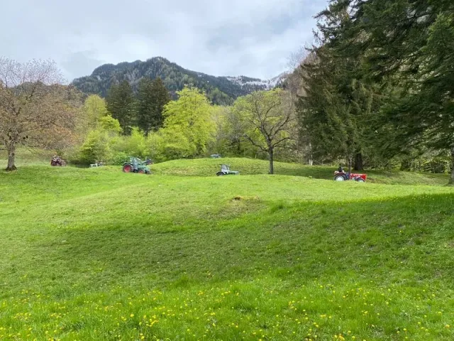 Blueschtfahrt zum Lama und Alpakahof, 28.04.2024 (Galerie 2024)