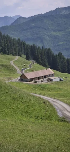 Zweitagesfahrt Elsenalpe / Damüls, 27.–28.06.2026 (Galerie 2026)