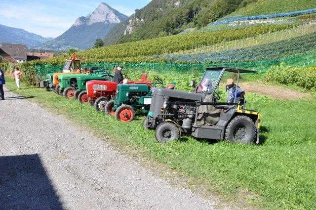 Weinfest Fläsch, 28.09.2014 (Galerie 2014)