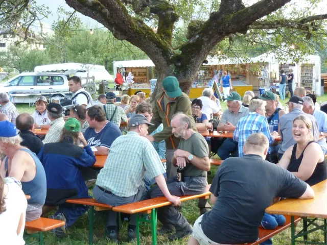 Traktoren-Treffen, 22.–23.08.2015 (Galerie 2015)