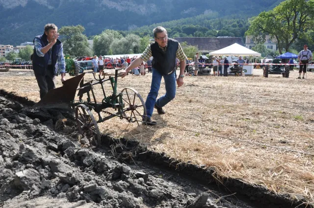 Traktoren-Treffen, 22.–23.08.2015 (Galerie 2015)