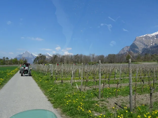 Blueschtfahrt nach Pfäfers und Fläsch, 25.04.2021 (Galerie 2021)