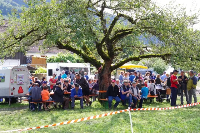 Traktoren-Treffen, 19.–20.08.2017 (Galerie 2017)