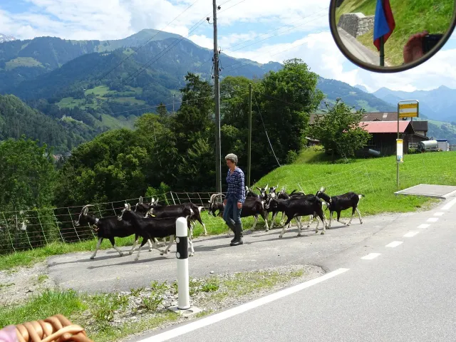 2 Tagesfahrt nach Stams, 27.06.2020 (Galerie 2020)