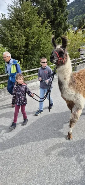 Blueschtfahrt zum Lama und Alpakahof, 28.04.2024 (Galerie 2024)