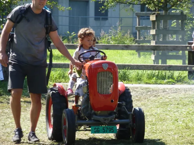 Traktoren-Treffen, 22.–23.08.2015 (Galerie 2015)