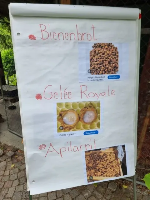 1. Sonntagsfahrt, 25.05.2025 (Galerie 2025)
