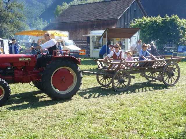 Traktoren-Treffen, 22.–23.08.2015 (Galerie 2015)