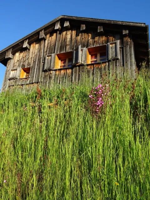 2 Tagesfahrt nach Stams, 27.06.2020 (Galerie 2020)