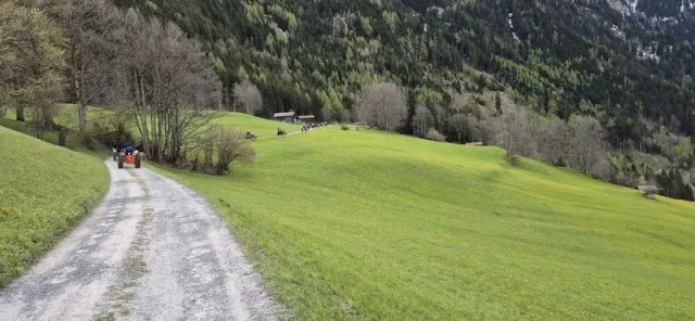 Blueschtfahrt zum Lama und Alpakahof, 28.04.2024 (Galerie 2024)
