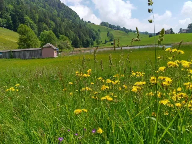 1. Sonntagsfahrt nach Unterwasser, 11.06.2023 (Galerie 2023)