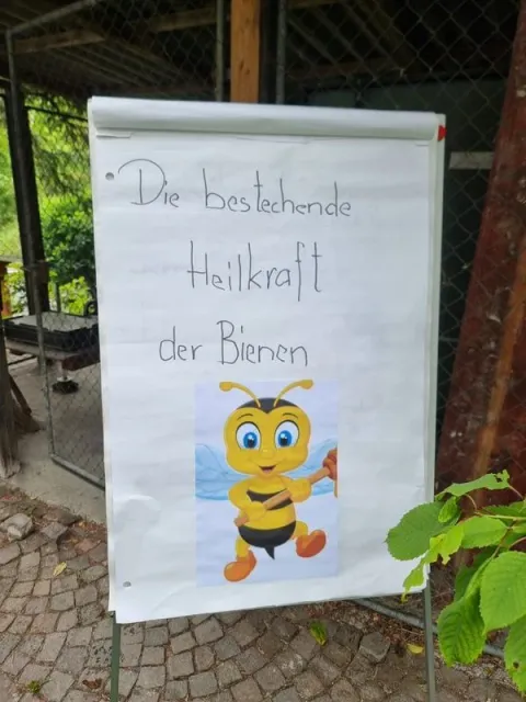 1. Sonntagsfahrt, 25.05.2025 (Galerie 2025)