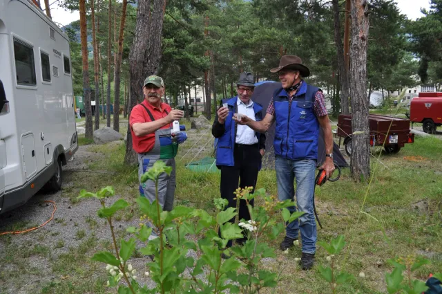 Stilfserjoch, 21.06.2014 (Galerie 2014)