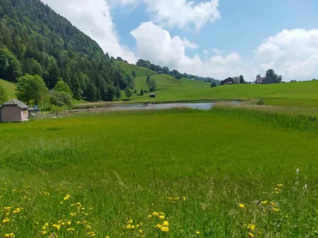 1. Sonntagsfahrt nach Unterwasser, 11.06.2023 (Galerie 2023)